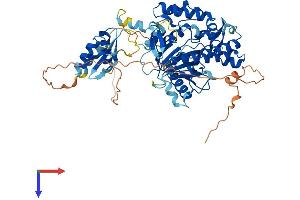 ADAD1 Protein (AA 1-576) (His tag)