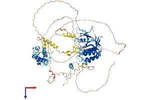 MYSM1 Protein (AA 1-828) (His tag)