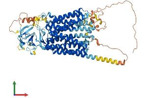 AlphaFold protein structure predicition of Mouse Recombinant Slco1c1 Protein, UniprotID Q9ERB5