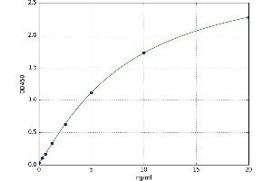 Adenylate Cyclase 2 (Brain) (ADCY2) ELISA Kit