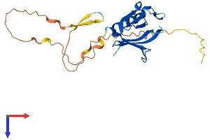 PLEKHB2 Protein (AA 1-221) (His tag)