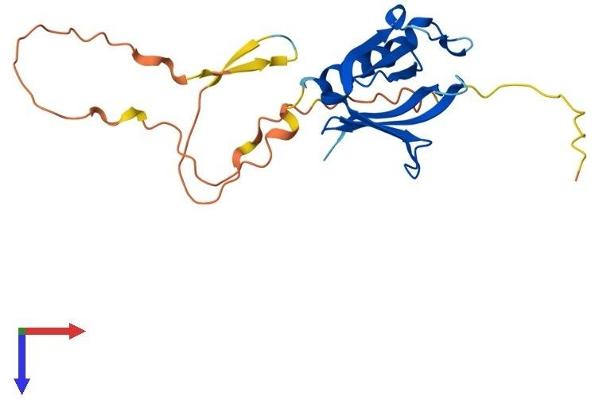 PLEKHB2 Protein (AA 1-221) (His tag)