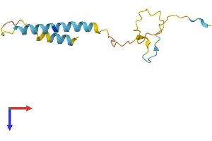 PDZK1 Interacting Protein 1 (PDZK1IP1) (AA 1-114) protein (His tag)