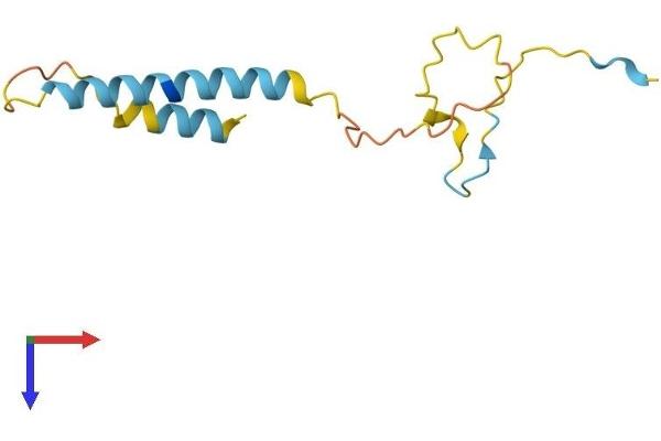 PDZK1 Interacting Protein 1 (PDZK1IP1) (AA 1-114) protein (His tag)