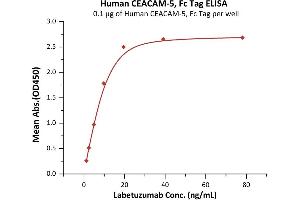 Immobilized Human CEACAM-5, Fc Tag (ABIN6992396) at 1 μg/mL (100 μL/well) can bind Labetuzumab with a linear range of 1-10 ng/mL (QC tested).