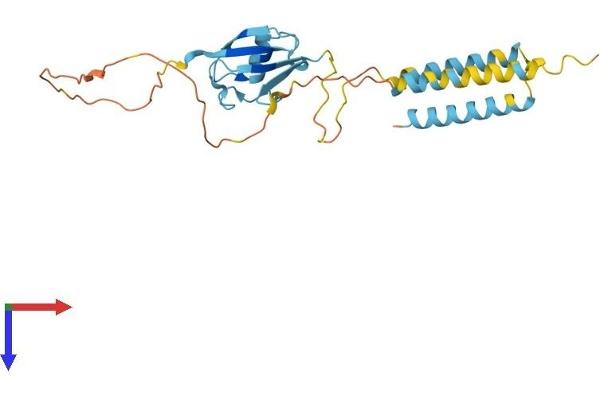 TMUB1 Protein (AA 1-245) (His tag)
