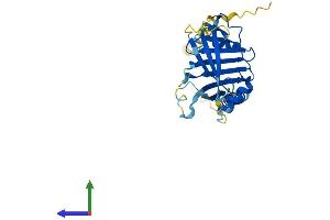 Protein Structure (PS) image for Integral Membrane Protein 2A (ITM2A) (AA 1-263) protein (His tag) (ABIN7557712)