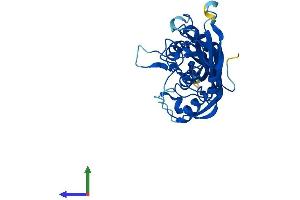 Protein Structure (PS) image for Pseudouridylate Synthase-Like 1 (PUSL1) (AA 1-291) protein (His tag) (ABIN7561894)
