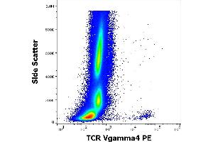 anti-TCR Vgamma4 antibody (PE)
