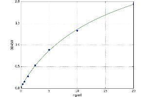 Aquaporin 3 (Gill Blood Group) (AQP3) ELISA Kit