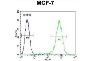 Flow cytometric analysis of MCF-7 cells using LYSMD4 Antibody (N-term) Cat. (LYSMD4 Antikörper  (N-Term))