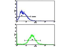 Flow cytometric analysis of HepG2 cells using CCNA2 polyclonal antibody (bottom histogram) compared to a negative control cell (top histogram). (Cyclin A Antikörper  (N-Term))