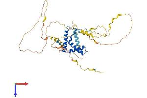 SOX18 Protein (AA 1-384) (His tag)