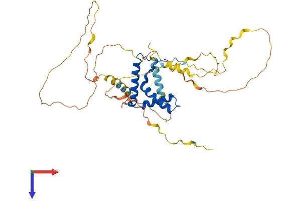 SOX18 Protein (AA 1-384) (His tag)