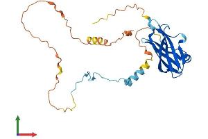 Protein Structure (PS) image for Protein Phosphatase 1, Regulatory Subunit 3E (PPP1R3E) (AA 1-279) protein (His tag) (ABIN7558840)