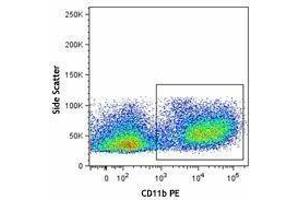 Flow Cytometry (FACS) image for Mouse MDSC Flow Cocktail 2 (ABIN2669223)