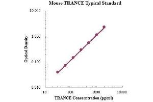 ELISA image for Tumor Necrosis Factor (Ligand) Superfamily, Member 11 (TNFSF11) ELISA Kit (ABIN3198487)