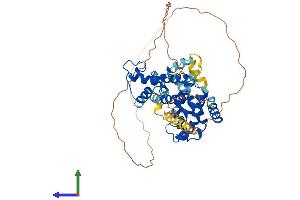 Protein Structure (PS) image for Nuclear Receptor Subfamily 1, Group H, Member 4 (NR1H4) (AA 1-486) protein (His tag) (ABIN7554778)