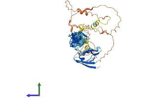 Protein Structure (PS) image for PDZ and LIM Domain 7 (Enigma) (PDLIM7) (AA 1-457) protein (His tag) (ABIN7554919)
