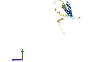 AlphaFold protein structure predicition of Human Recombinant BLOC1S4 Protein, UniprotID Q9NUP1