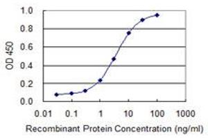 Detection limit for recombinant GST tagged AHCYL1 is 0. (AHCYL1 Antikörper  (AA 1-101))