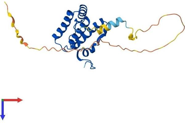 GFER Protein (AA 1-205) (His tag)