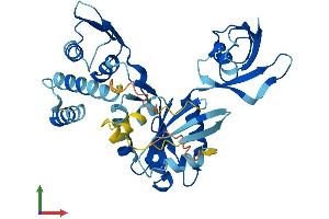 Protein Structure (PS) image for Developmentally Regulated GTP Binding Protein 2 (DRG2) (AA 1-364) protein (His tag) (ABIN7561743)