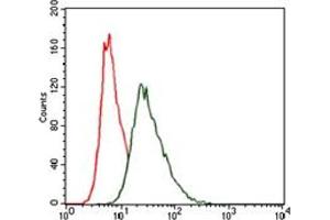 Flow Cytometry (FACS) image for anti-Heat Shock Transcription Factor 4 (HSF4) antibody (ABIN1107497) (HSF4 Antikörper)