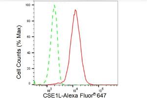 Flow cytometric analysis of CSE1L expression in HeLa cells using CSE1L antibody (ABIN7798172), 1:2,000). (Rekombinanter Exportin 2 Antikörper)