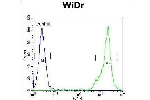 Flow Cytometry (FACS) image for anti-Complement Component 4 Binding Protein, alpha (C4BPA) (AA 470-499), (C-Term) antibody (ABIN652149)