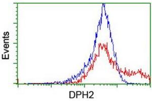 HEK293T cells transfected with either RC201382 overexpress plasmid (Red) or empty vector control plasmid (Blue) were immunostained by anti-DPH2 antibody (ABIN2455862), and then analyzed by flow cytometry. (DPH2 Antikörper)