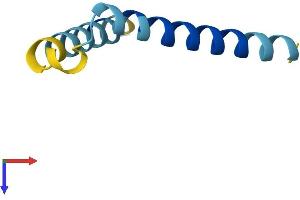 SERF1A Protein (AA 1-62) (Fc Tag)
