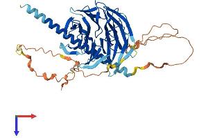 POC1B Protein (AA 1-476) (His tag)