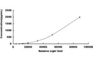 ELISA image for Transforming Growth Factor, beta 1 (TGFB1) CLIA Kit (ABIN491824)