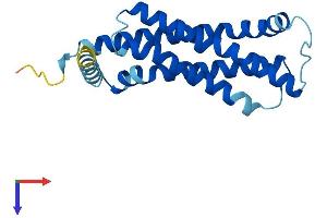TMEM126A Protein (AA 1-195) (His tag)