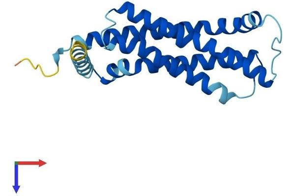 TMEM126A Protein (AA 1-195) (His tag)