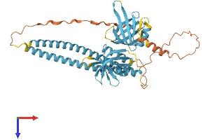 SNAP47 Protein (AA 1-413) (His tag)