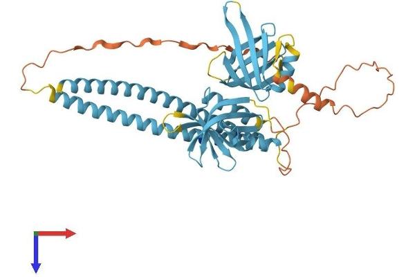 SNAP47 Protein (AA 1-413) (His tag)