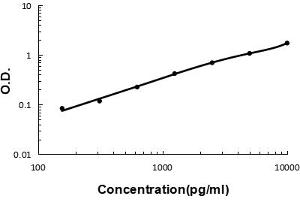 Sandwich ELISA - Recombinant human VCAM1 protein standard curve.