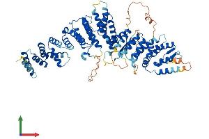 Protein Structure (PS) image for Integrator Complex Subunit 10 (INTS10) (AA 1-710) protein (His tag) (ABIN7548533)