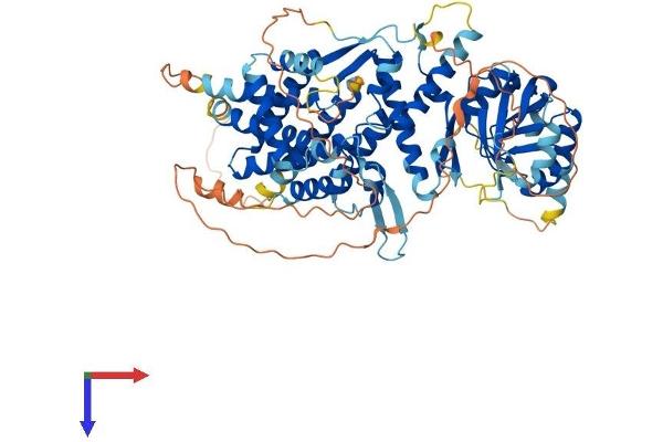 BBS12 Protein (AA 1-708) (His tag)