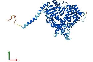 Protein Structure (PS) image for Cytochrome P450, Family 4, Subfamily F, Polypeptide 3 (CYP4F3) (AA 1-524) protein (His tag) (ABIN7560429)