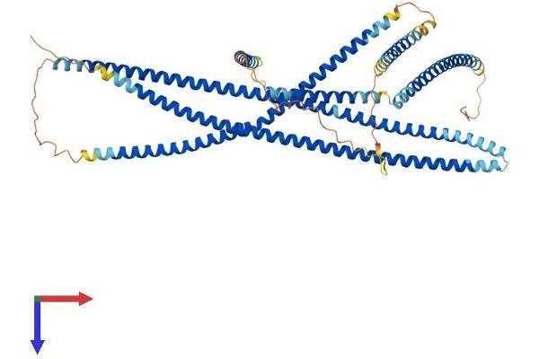 JAKMIP1 Protein (AA 1-626) (His tag)