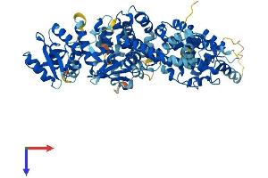 ELMO2 Protein (AA 1-732) (His tag)