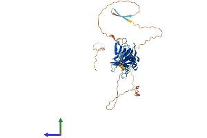 Protein Structure (PS) image for Pleckstrin Homology Domain Containing, Family A (phosphoinositide Binding Specific) Member 1 (PLEKHA1) (AA 1-404) protein (His tag) (ABIN7550852)