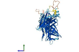 Protein Structure (PS) image for F-Box Protein 15 (FBXO15) (AA 1-433) protein (His tag) (ABIN7561835)
