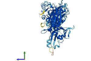 Protein Structure (PS) image for Calpain 6 (CAPN6) (AA 1-641) protein (His tag) (ABIN7562350)