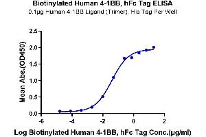 Immobilized Human 4-1BB Ligand (Trimer), His Tag at 1 μg/mL (100 μL/Well) on the plate. (CD137 Protein (AA 24-186) (Fc-Avi Tag,Biotin))