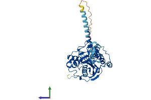 Protein Structure (PS) image for UDP-Gal:betaGlcNAc beta 1,4-Galactosyltransferase, Polypeptide 6 (B4GALT6) (AA 1-382) protein (His tag) (ABIN7556325)