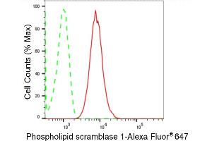 Flow cytometric analysis of Phospholipid scramblase 1 expression in HT- cells using Phospholipid scramblase 1 antibody (ABIN7799825), 1:2,000). (Rekombinanter PLSCR1 Antikörper)